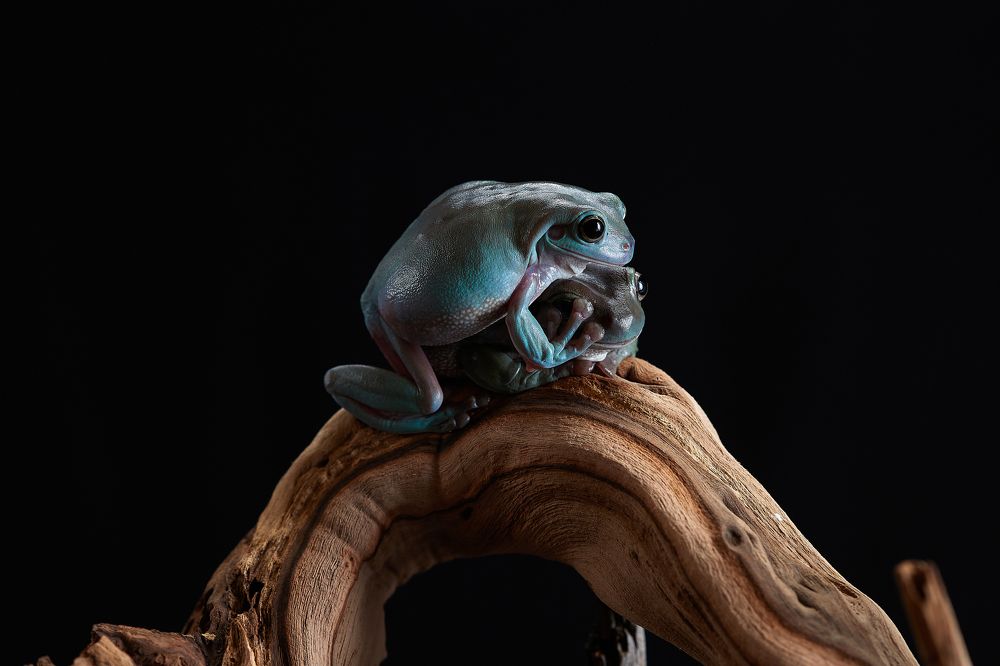 Photograph by Лана Полякова