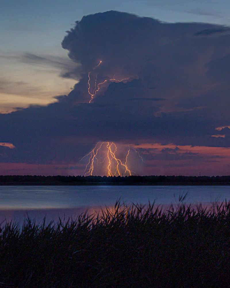 Photograph by Alexander Komarov