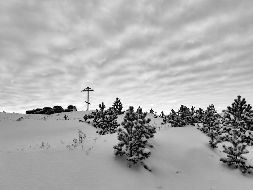 Photograph by Татьяна Даниленкова