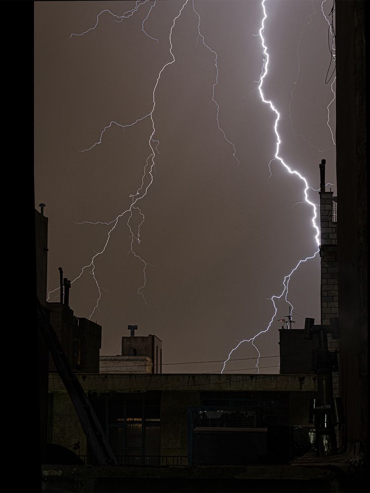 Photograph by Sahar Jafari