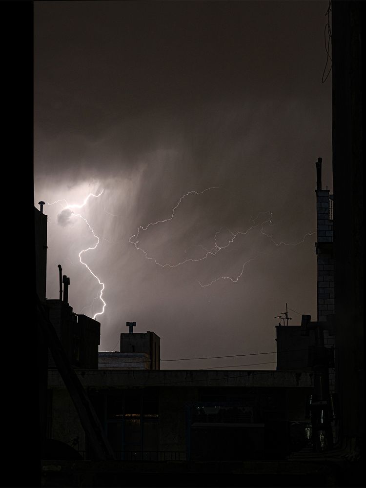 Photograph by Sahar Jafari