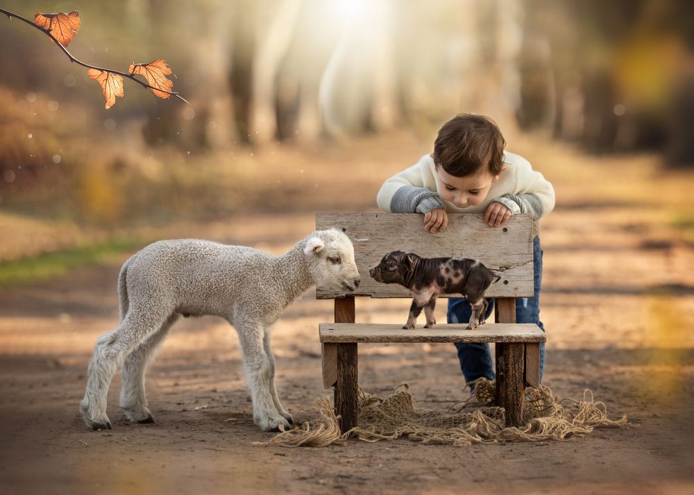 Фотография автора Debo de la Llana