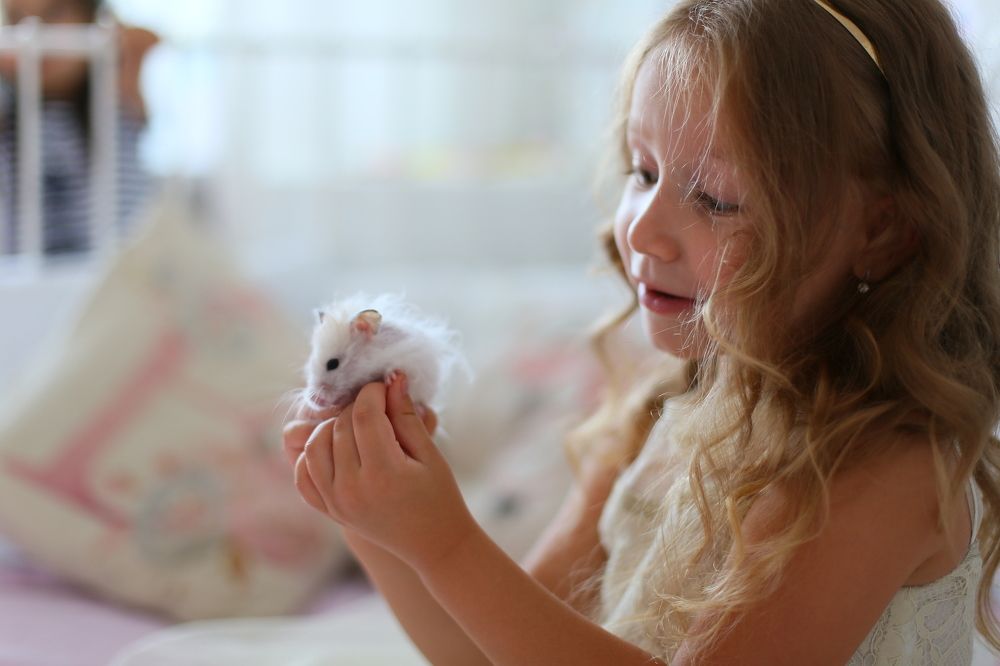 Photograph by Елена Катунина