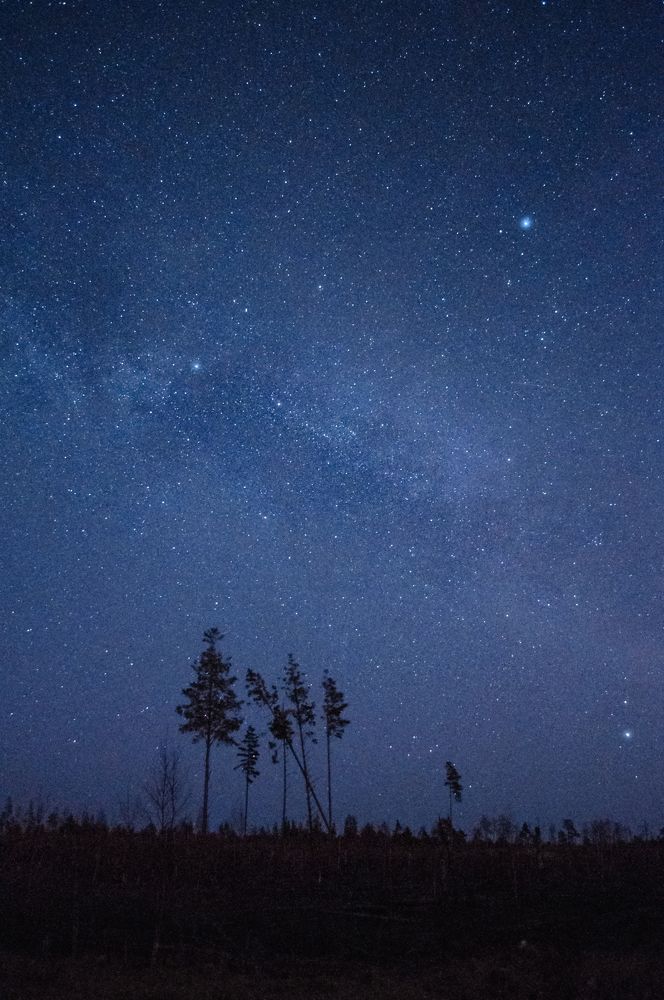 Photograph by Елизавета Белоусова