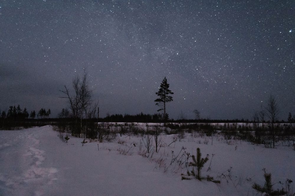 Photograph by Елизавета Белоусова