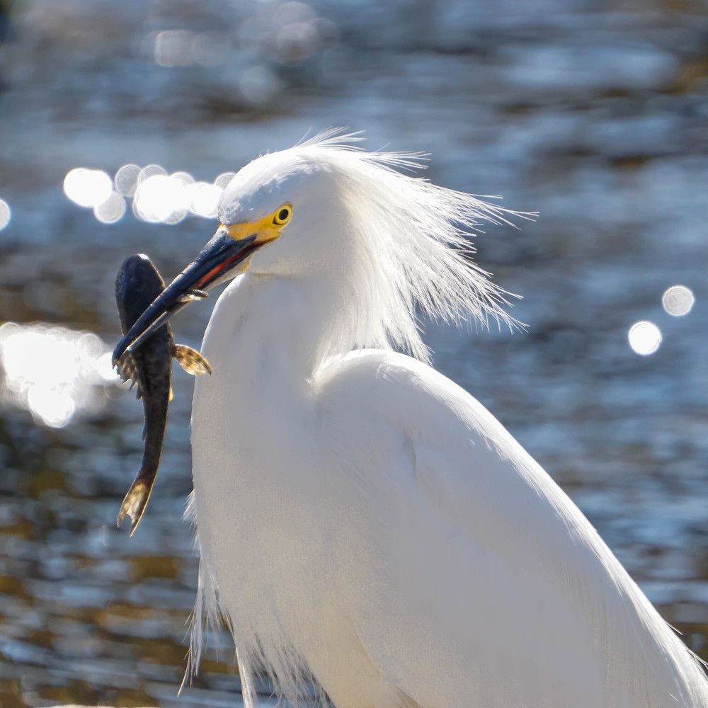 Photograph by Karina Elena Bergagna