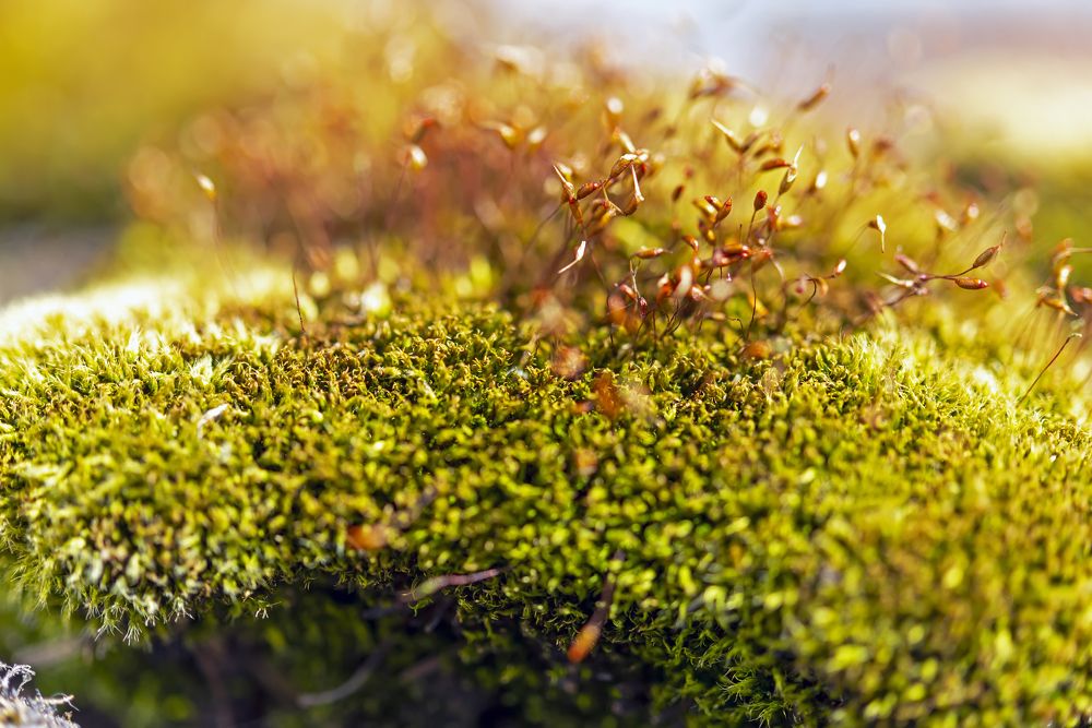 Photograph by Александр Бондаренко