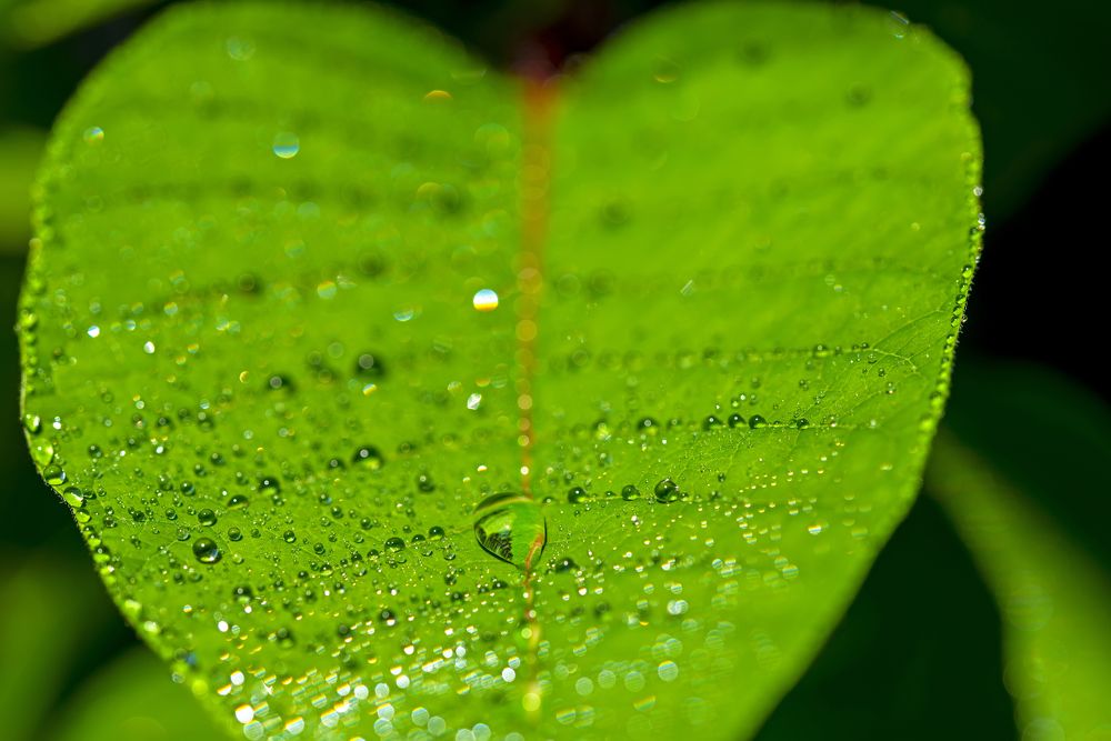 Photograph by Александр Бондаренко