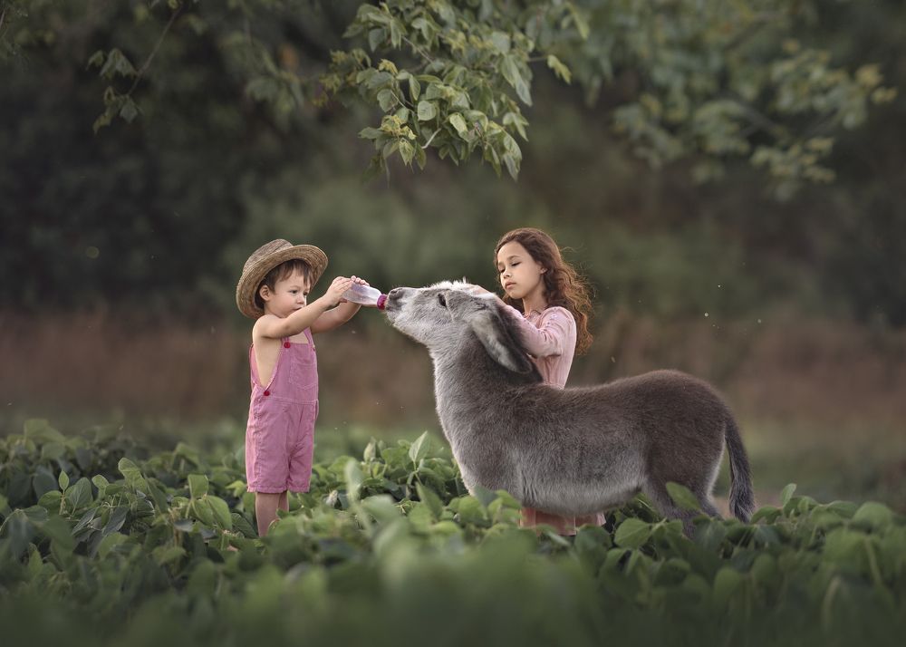 Photograph by victoria ruiz