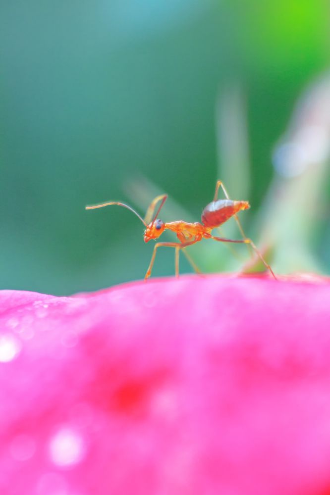 Photograph by rahmad himawan