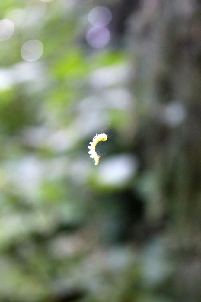 Photograph by Olga Bagaeva