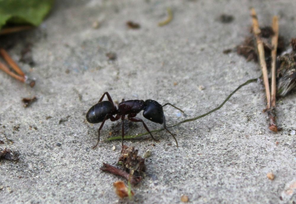 Photograph by Olga Bagaeva