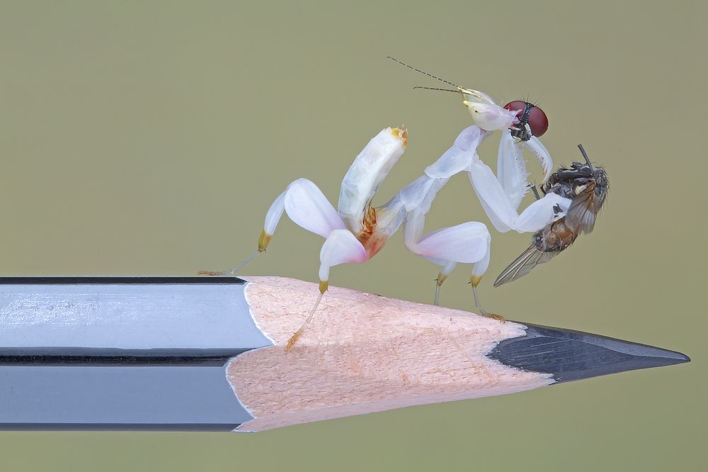 Photograph by way pang