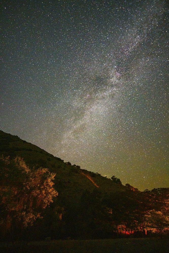 Photograph by Abdulrahman Sawalha