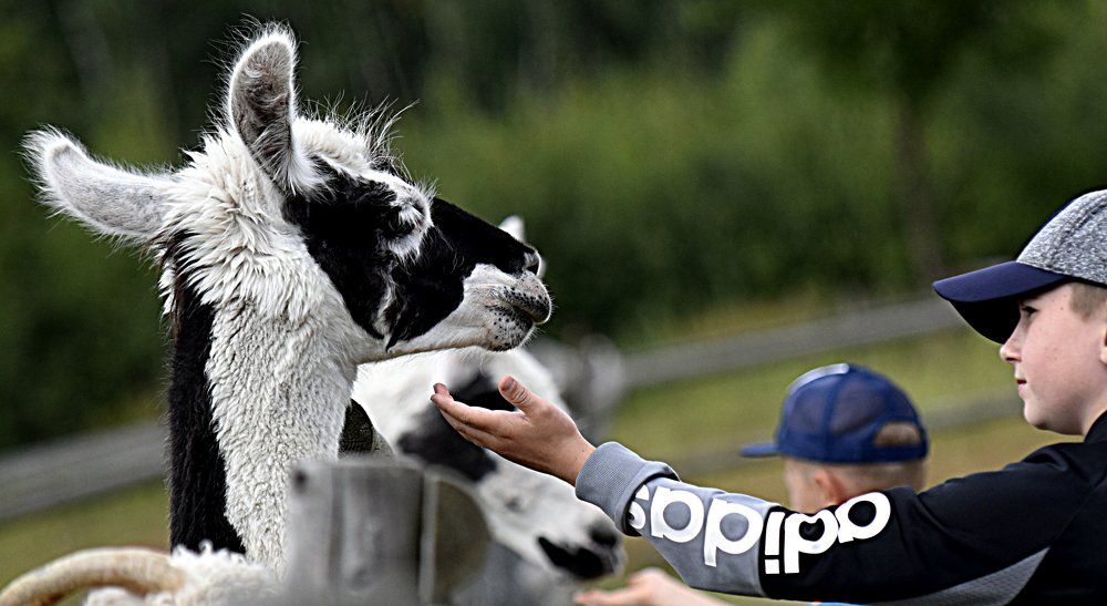 Photograph by Инна Сенкевич