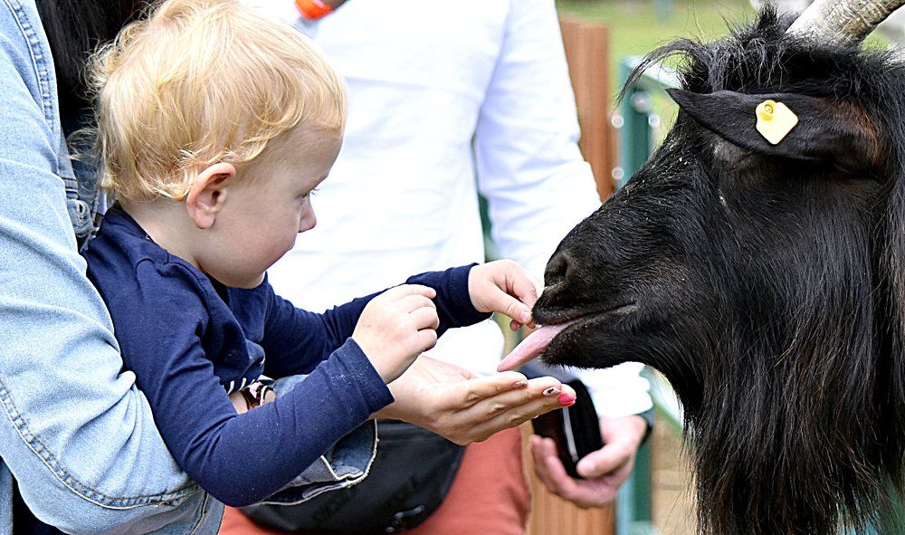 Photograph by Инна Сенкевич