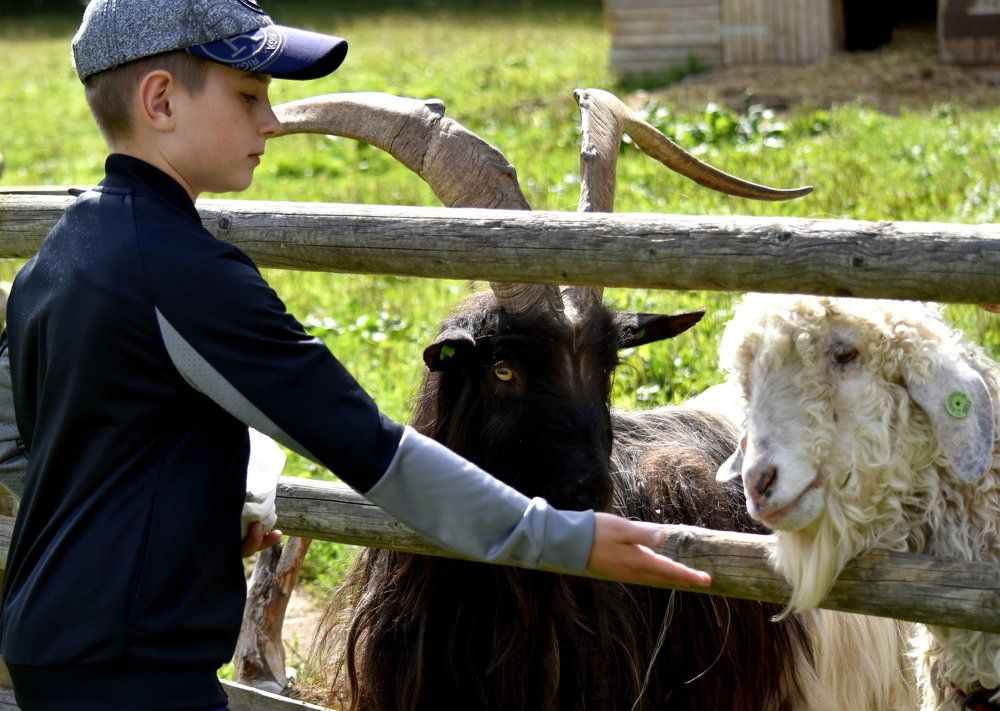 Photograph by Инна Сенкевич