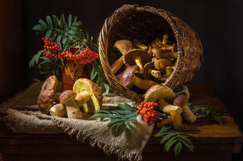 Натюрморт с грибами и рябиной.