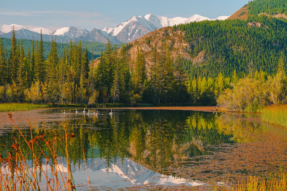 Photograph by Сергей Андрейчук