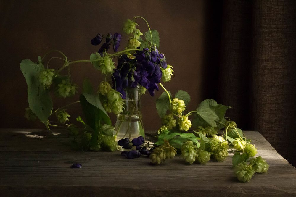 Борец и хмель