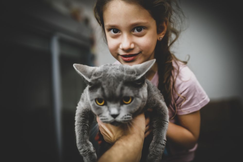 Photograph by Hillel Shatz