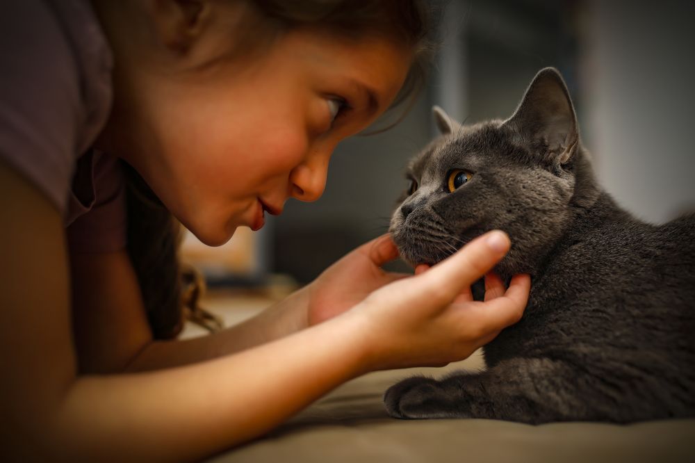 Photograph by Hillel Shatz