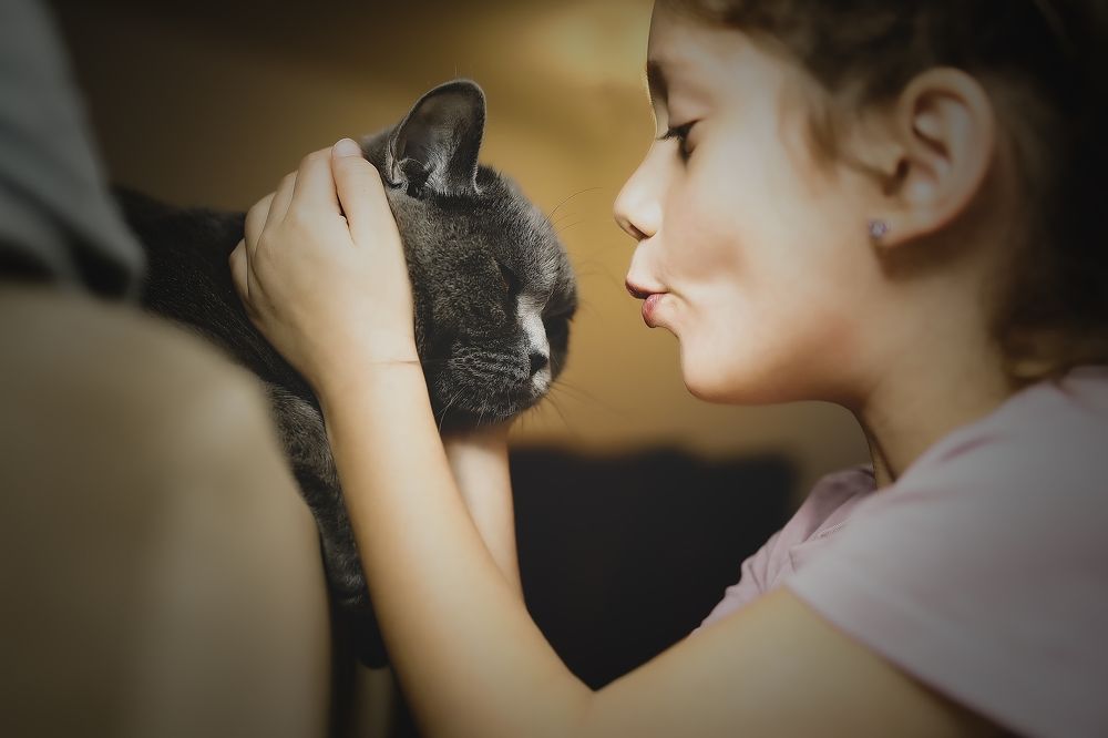 Photograph by Hillel Shatz