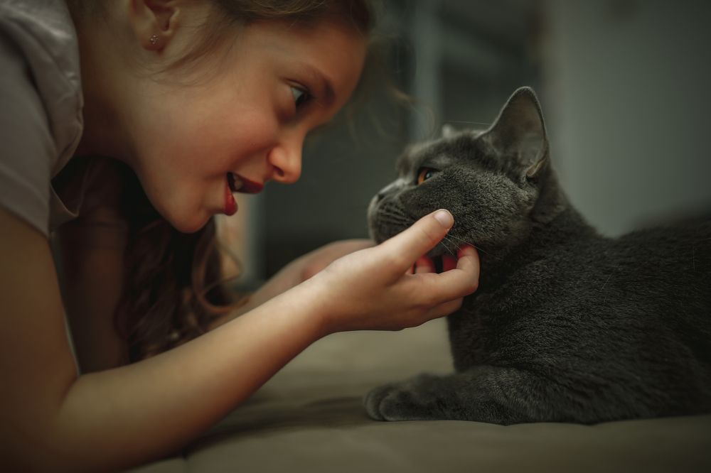 Photograph by Hillel Shatz