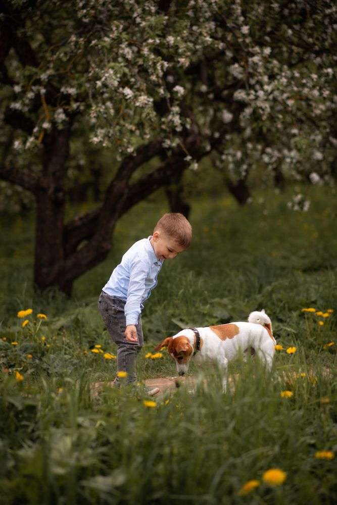 Фотография автора Виктория Шершень