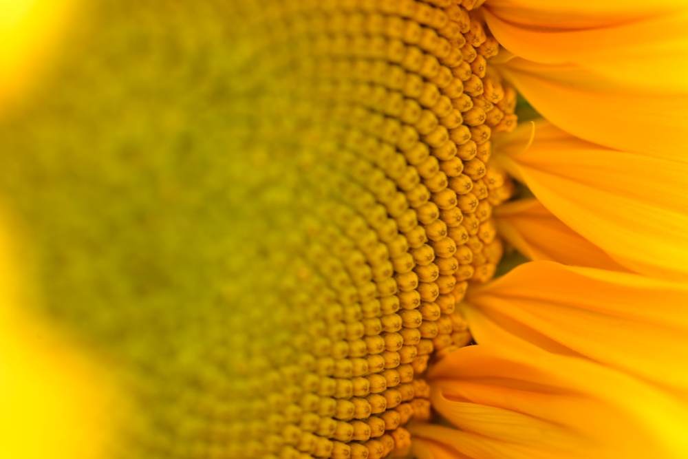 Фотография автора Станислав Ермолин