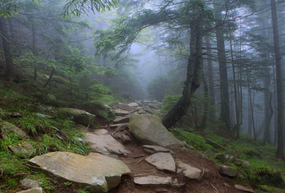 Фотография автора Милокост Алексей