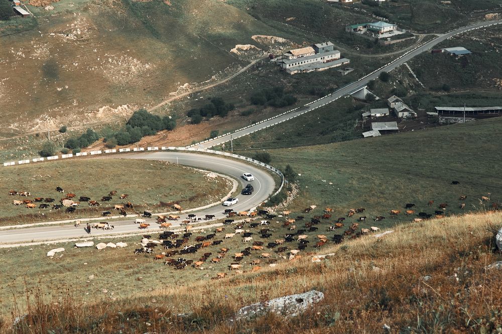 Photograph by Дарья Самойлова