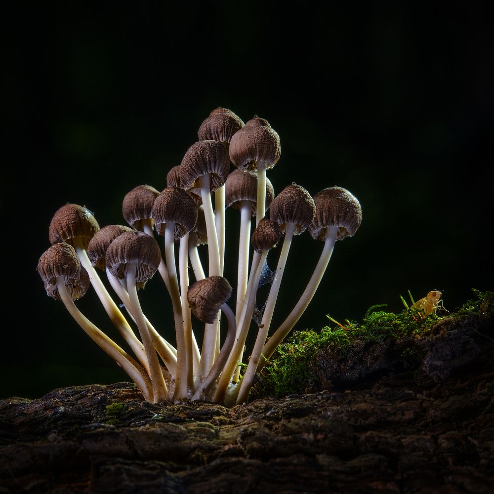 Photograph by Сергей Биденко