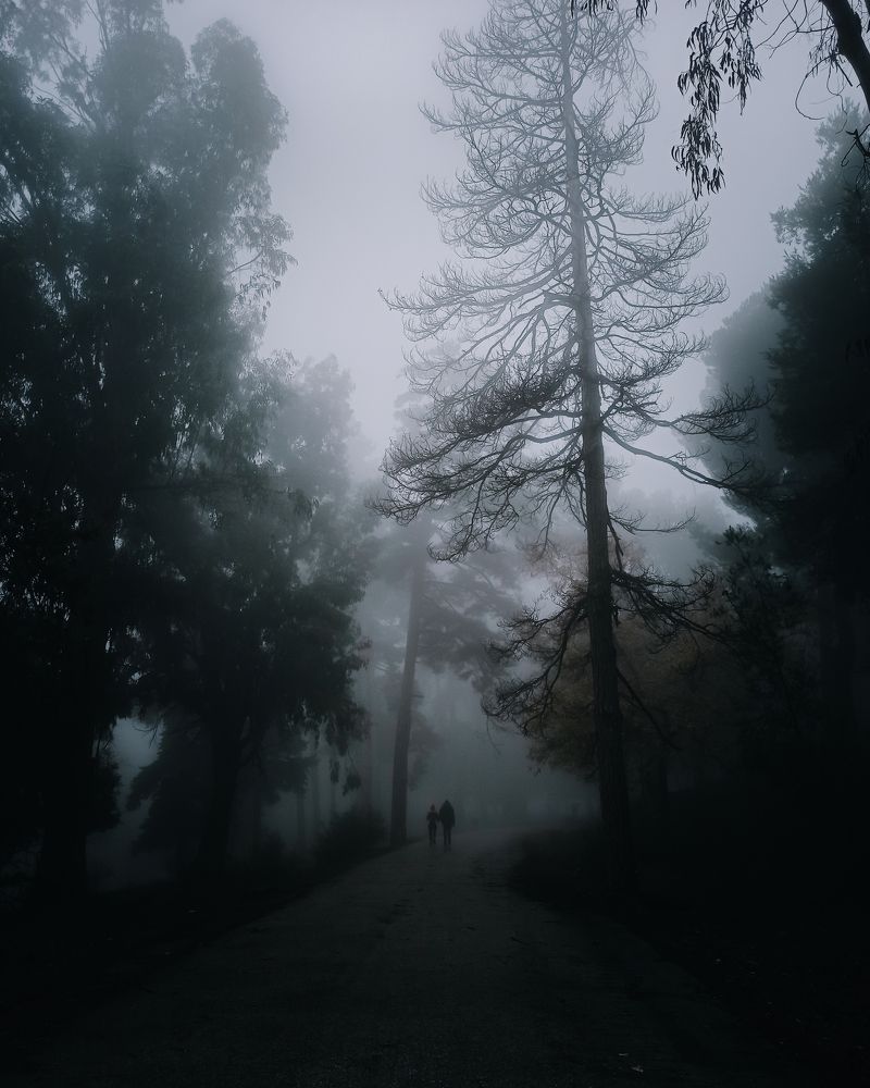 Photograph by Mahdjoub Zakaria