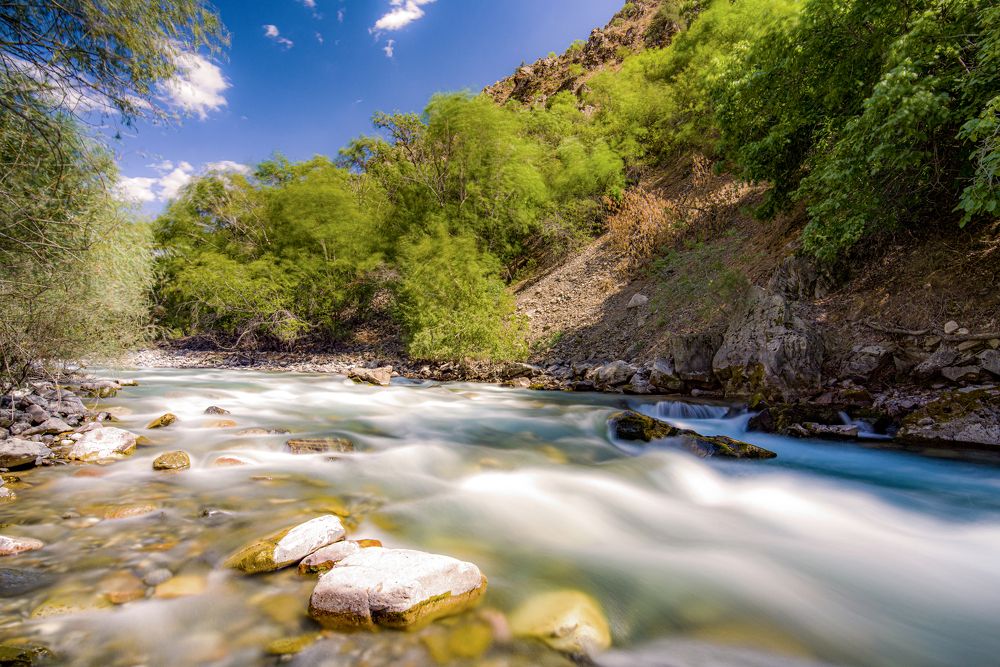 Photograph by Abdulrahman Sawalha