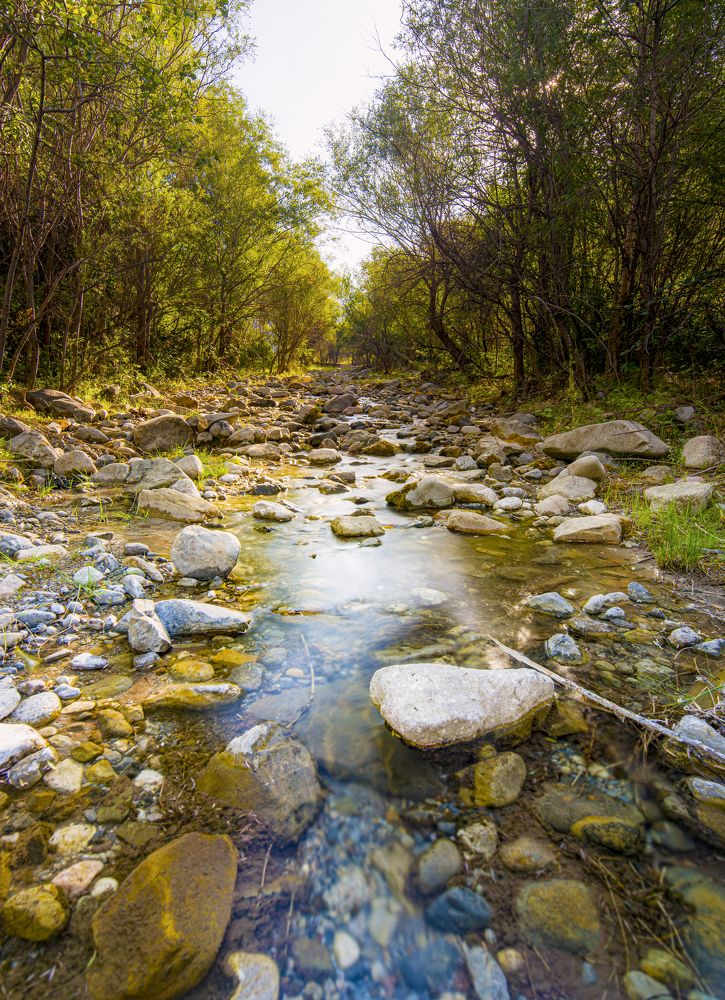 Photograph by Abdulrahman Sawalha