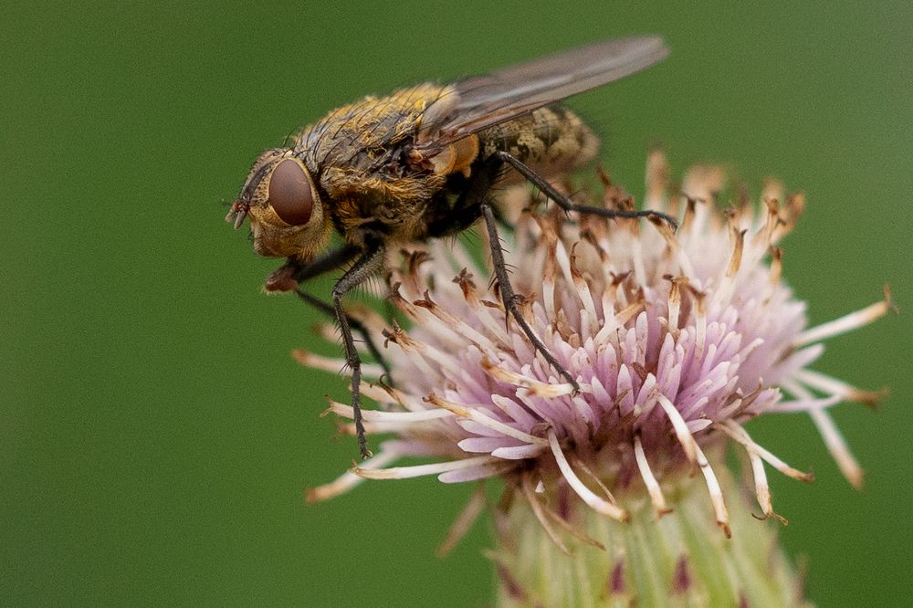 Photograph by Patricia Dodd