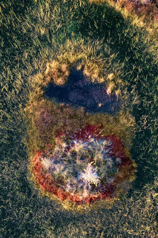 Photograph by Evgeny S