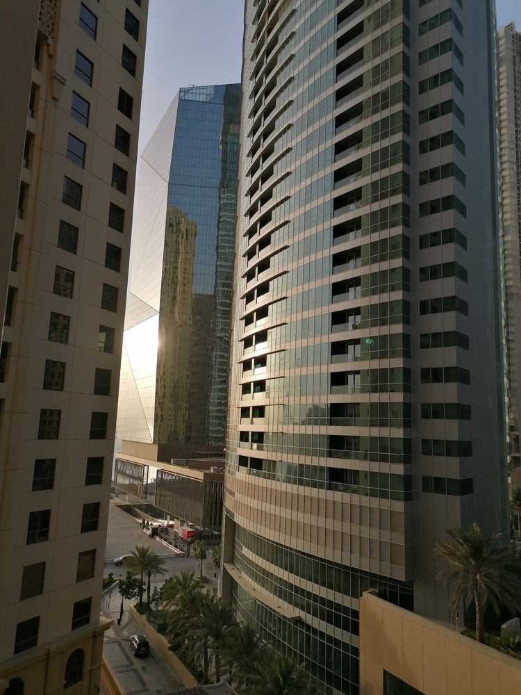 Photo #6455110