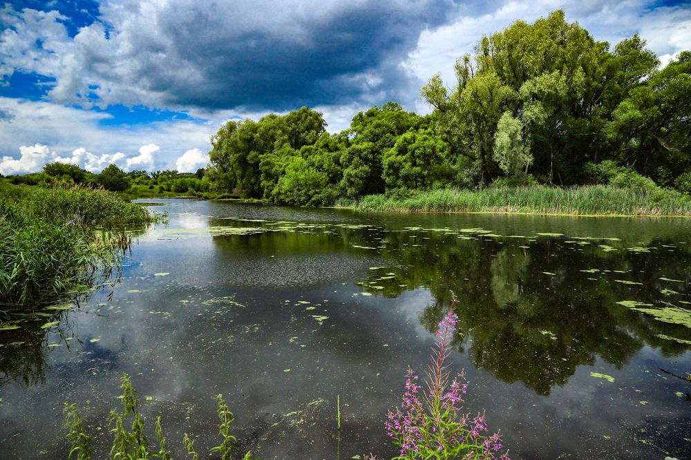 Перед грозой