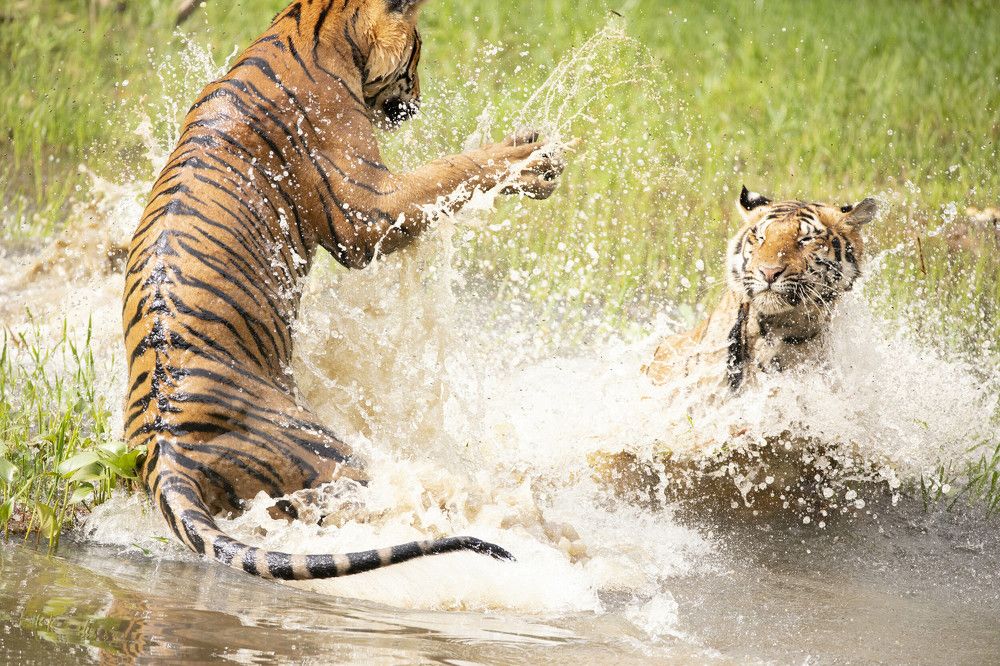 Photograph by John Robert