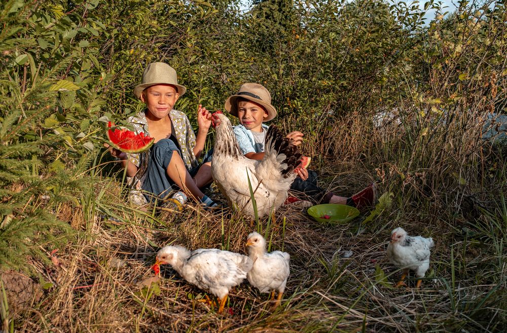 Photograph by Валерий Сарак