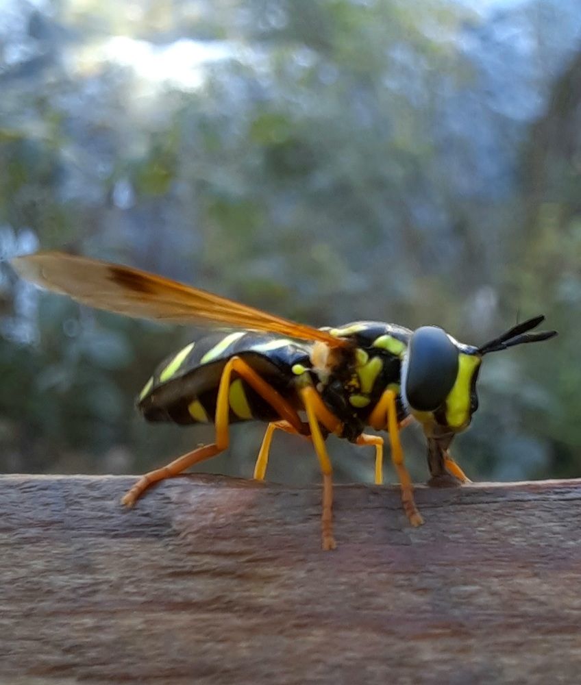 Photograph by Майя Витвицкая