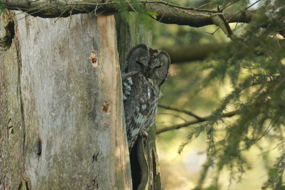 Photograph by Piotr Warzecha