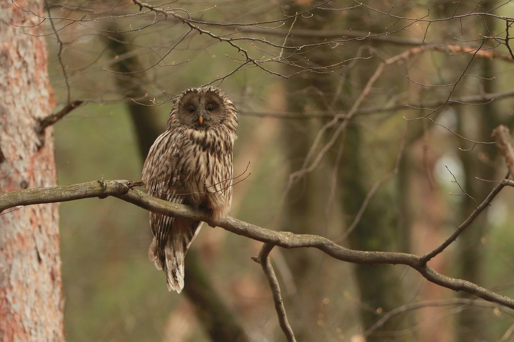 Photograph by Piotr Warzecha