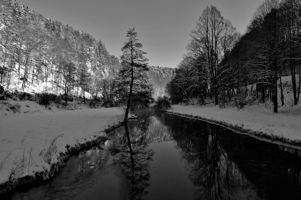 Photograph by backareva irina