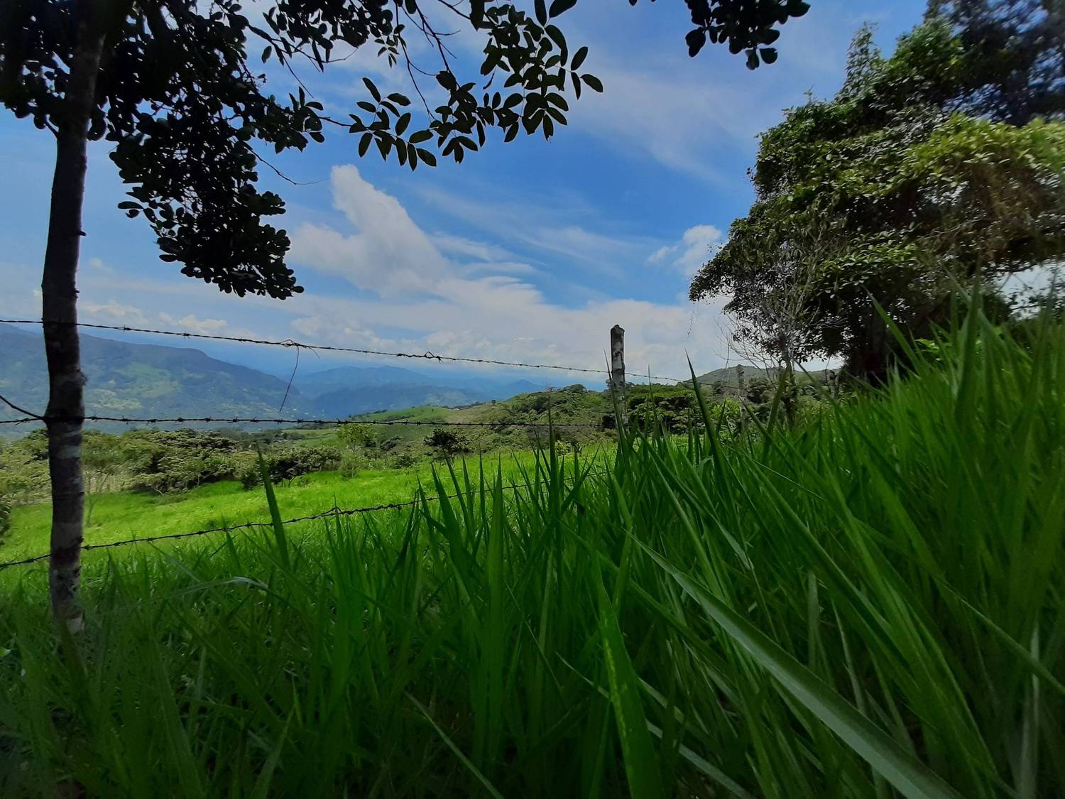 Cielo y tierra