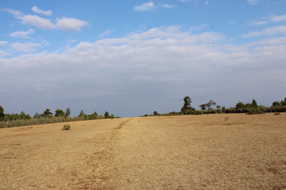 Photograph by Gideon Lpachiwan