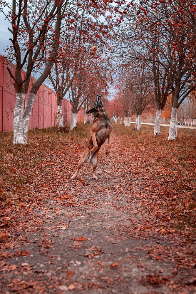 Photograph by Юлия Шестопалова