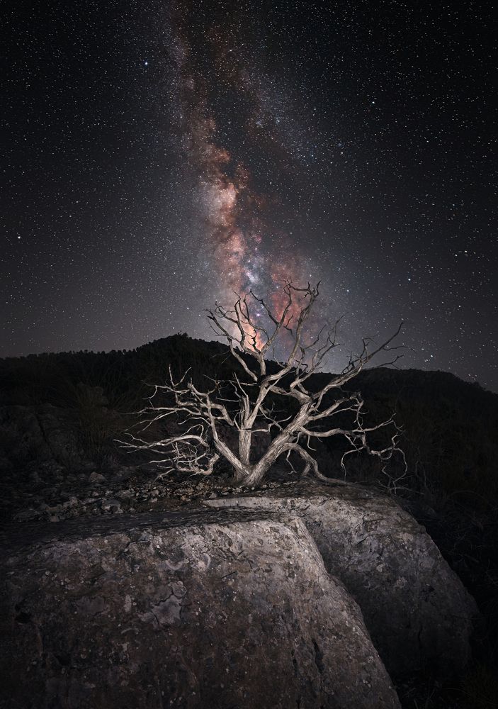 Photograph by Gil Romero Jaime